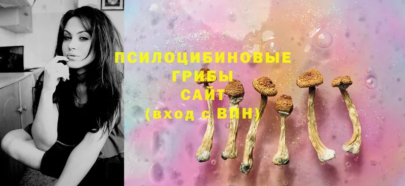 Псилоцибиновые грибы Magic Shrooms  Нарткала 